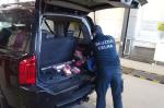 Funkcjonariusz KAS wyjmuje papierosy ze skrytki pod podwójnym dnem bagażnika pojazdu