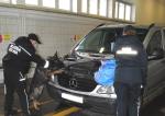 funkcjonariusze kontrolują samochód z pomocą psa