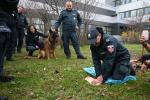 szkolenie z pierwszej pomocy psu w nagłych wypadkach