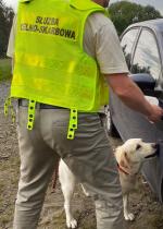 funkcjonariusz Służby Celno- Skarbowej wraz z psem podczas kontroli pojazdu