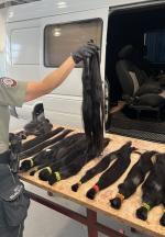 Funkcjonariuszka odwrócona plecami trzyma kilka pasm włosów. Na stole leżą pozostałe pasma. W tle samochód