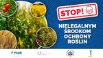Grafika "Stop nielegalnym środkom ochrony roślin